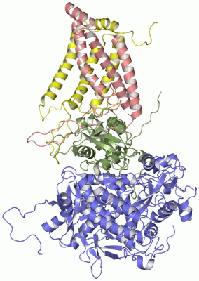 Image Theor.Model - manually