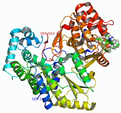 Image Asym./Biol. Unit - manually