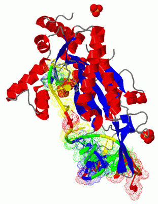 Image Biol.Unit 1 - manually