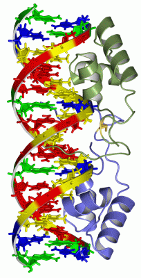 Image NMR Structure - manually