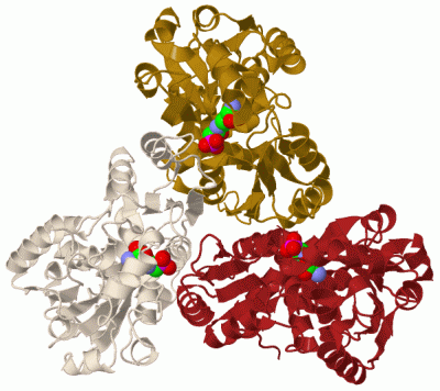 Image Biol.Unit 1 - manually