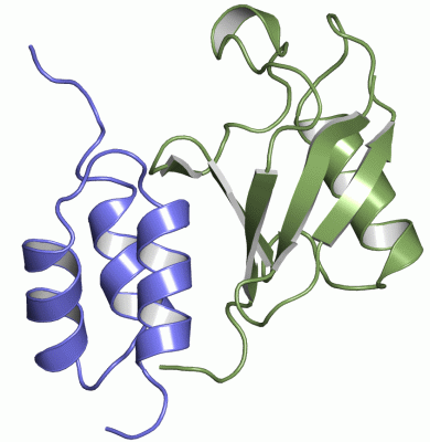Image NMR Structure - manually