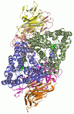 Image Asym./Biol. Unit - manually