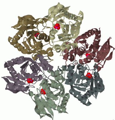 Image Biol.Unit 1 - manually