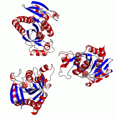 Image Asym.Unit - manually