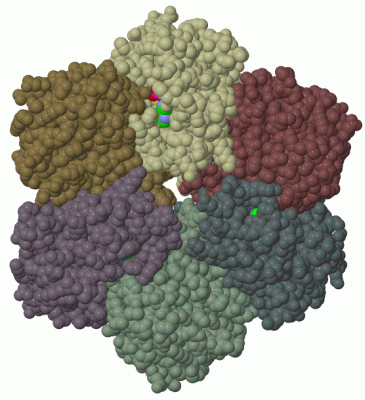 Image Biol.Unit 1 - manually