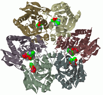 Image Biol.Unit 1 - manually