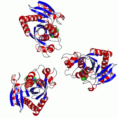 Image Asym.Unit - manually