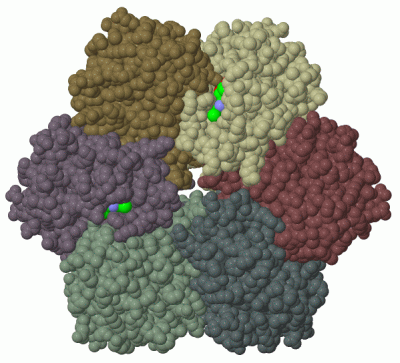 Image Biol.Unit 1 - manually