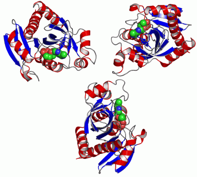 Image Asym.Unit - manually