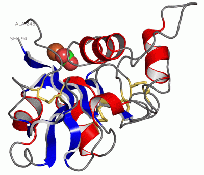 Image Asym./Biol. Unit - manually