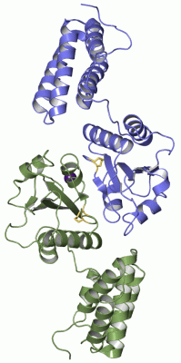 Image Asym./Biol. Unit - manually