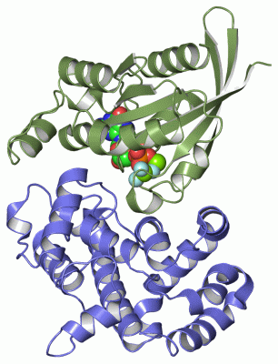 Image Asym./Biol. Unit - manually