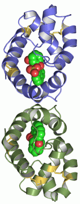 Image Asym.Unit - manually