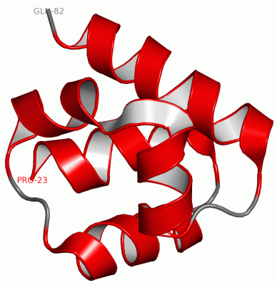 Image NMR Structure - manually