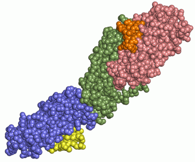 Image Asym./Biol. Unit - manually