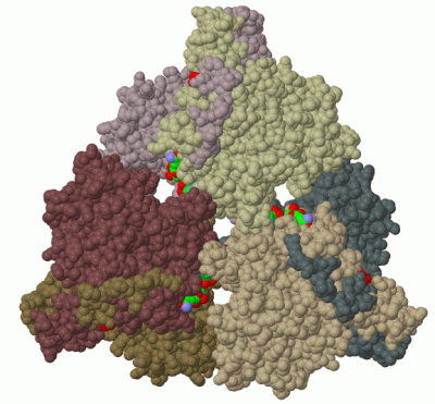 Image Biol.Unit 1 - manually