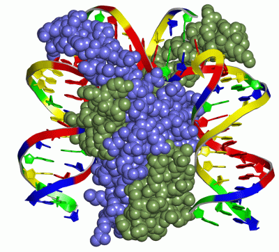 Image Asym./Biol. Unit - manually