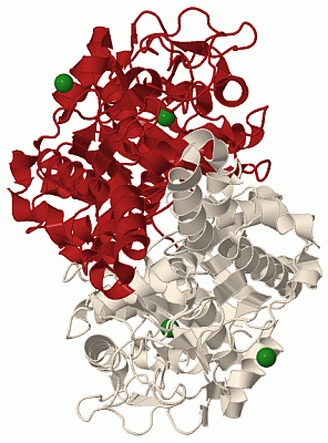 Image Biol.Unit 1 - manually