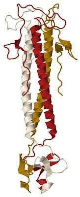 Image Biol.Unit 1 - manually