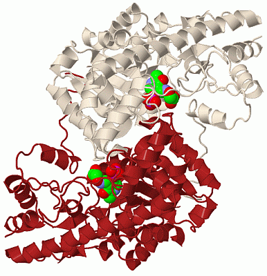 Image Biol.Unit 1 - manually