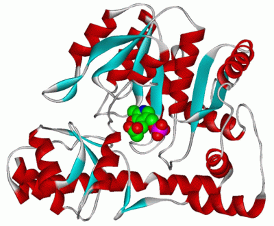 Image Asym.Unit - manually