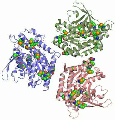 Image Asym./Biol. Unit - manually