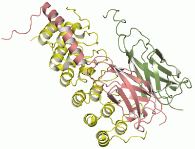 Image Asym./Biol. Unit - manually