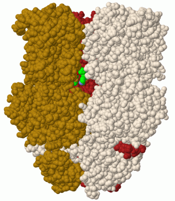 Image Biol.Unit 1 - manually