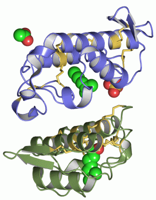 Image Asym./Biol. Unit - manually