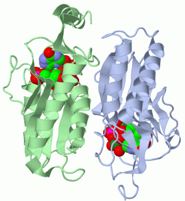 Image Asym./Biol. Unit - manually