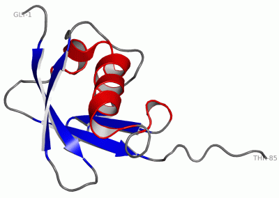 Image NMR Structure - manually