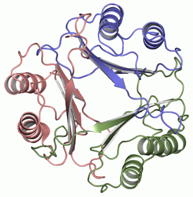 Image Asym./Biol. Unit - manually