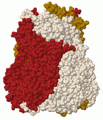 Image Biol.Unit 1 - manually