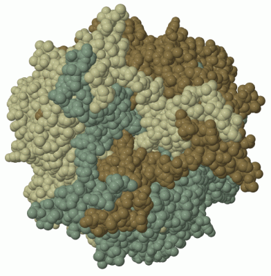 Image Biol.Unit 1 - manually