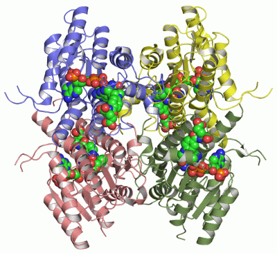 Image Asym./Biol. Unit - manually