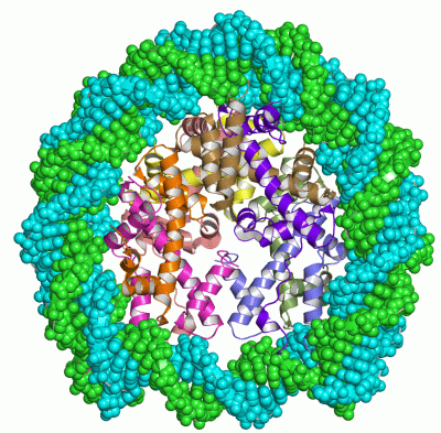Image Asym./Biol. Unit - manually