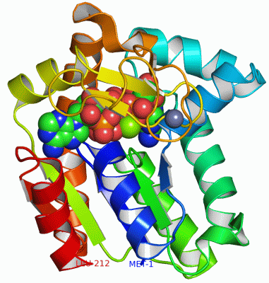 Image Asym./Biol. Unit - manually