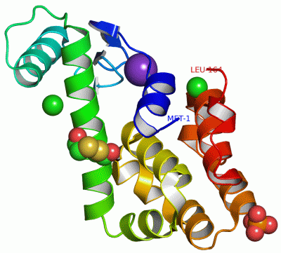 Image Asym./Biol. Unit - manually