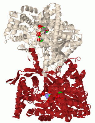 Image Biol.Unit 1 - manually