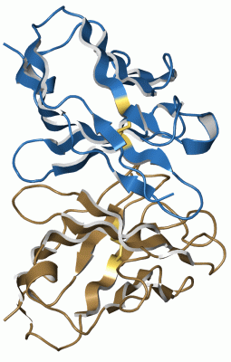 Image Asym./Biol. Unit - manually