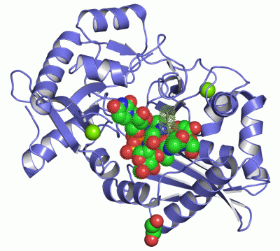 Image Asym./Biol. Unit - manually