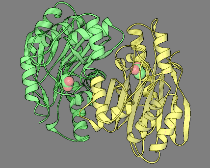 Image Asym./Biol. Unit - manually