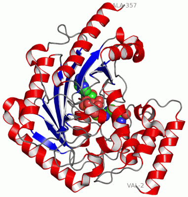 Image Asym./Biol. Unit - manually