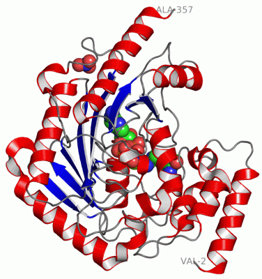 Image Asym./Biol. Unit - manually