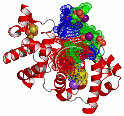 Image Asym./Biol. Unit - manually