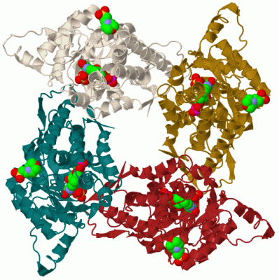 Image Biol.Unit 1 - manually