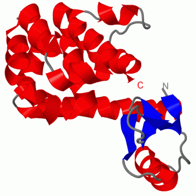 Image Biol.Unit 1 - manually
