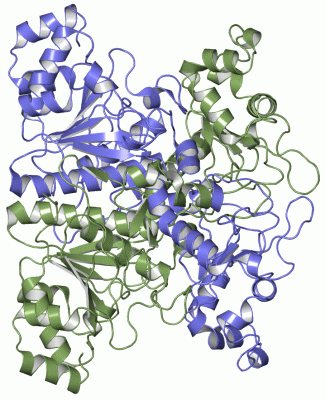 Image Asym./Biol. Unit - manually