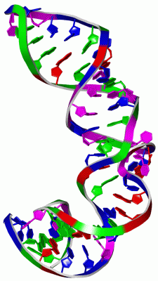Image NMR Structure - manually